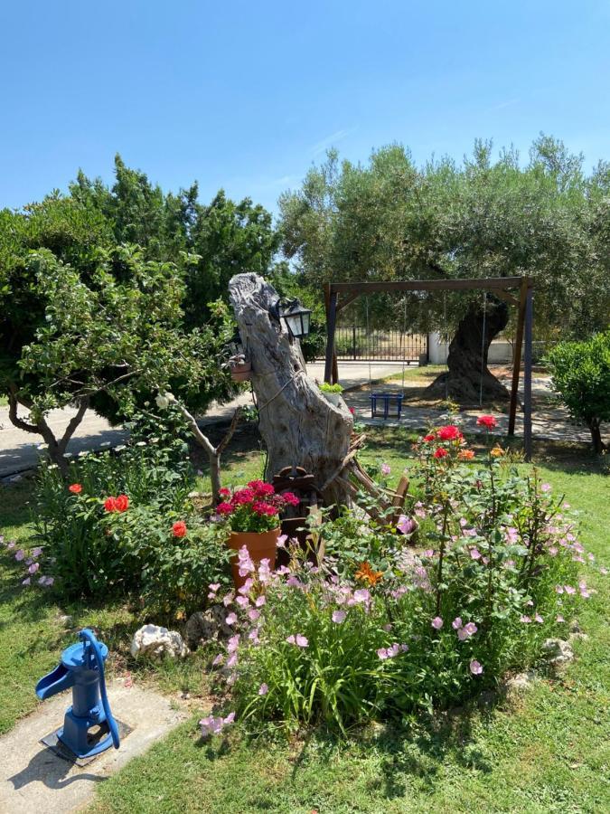 Wine & Olive Studio Gerakini Dış mekan fotoğraf
