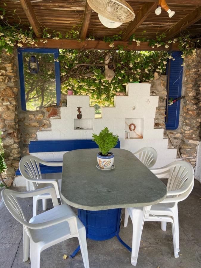 Wine & Olive Studio Gerakini Dış mekan fotoğraf